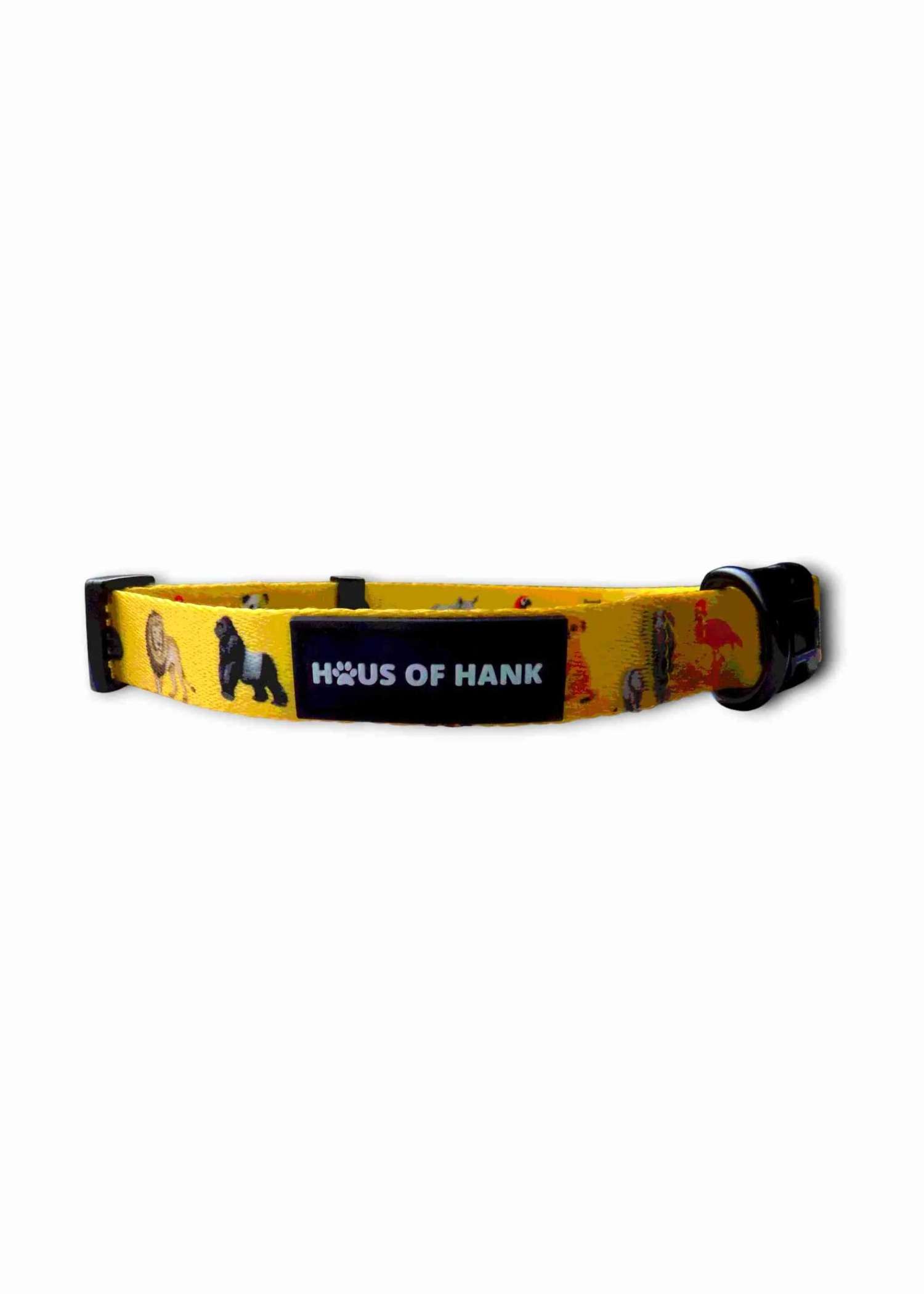 Golden Zookeeper Classic Collar — adjustable dog collar from Haus of Hank