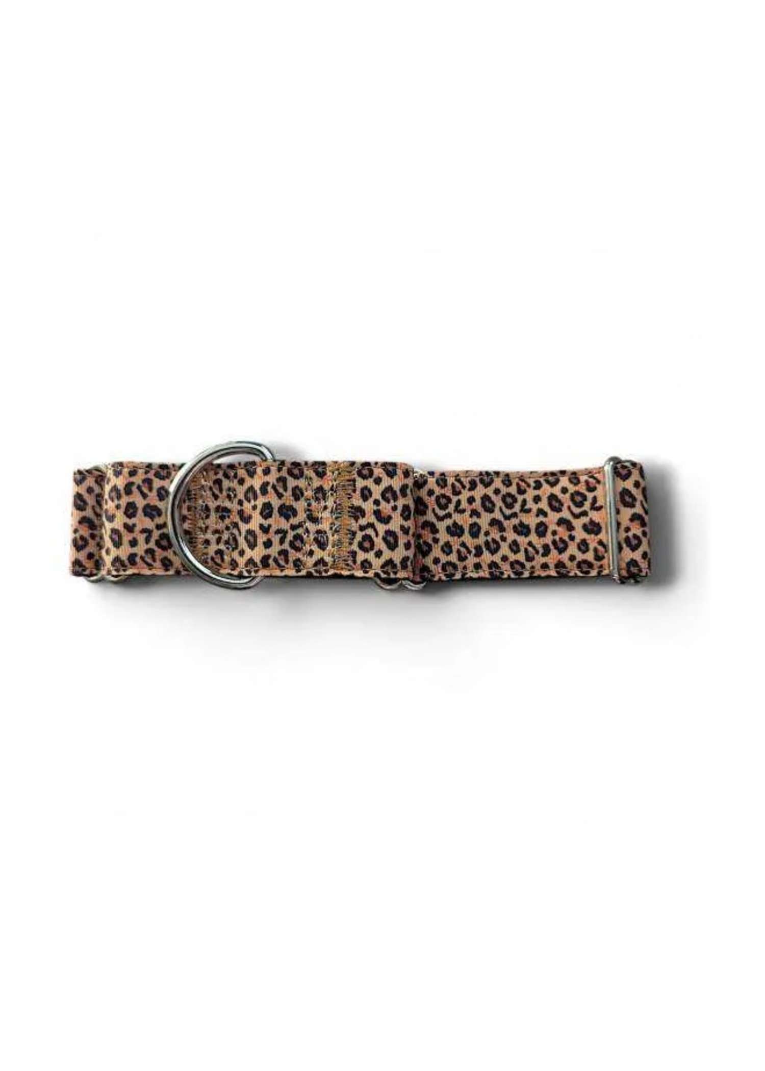 Leopard Adjustable Martingale Collar 36-48cm (3.8cm) — adjustable dog collar from Haus of Hank
