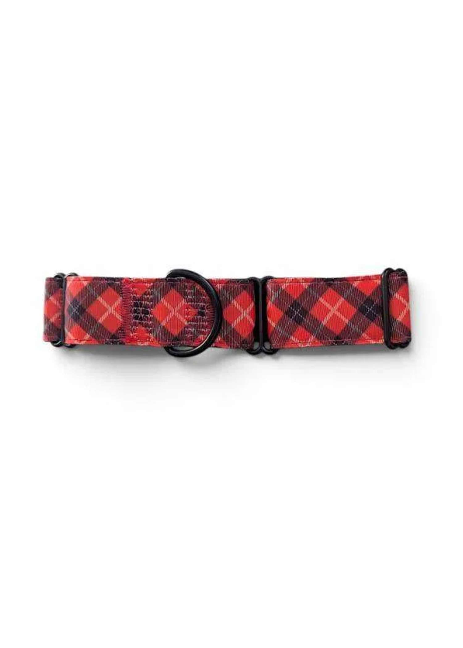 Tartan Adjustable Martingale Collar 36-48cm (3.8cm) — adjustable dog collar from Haus of Hank