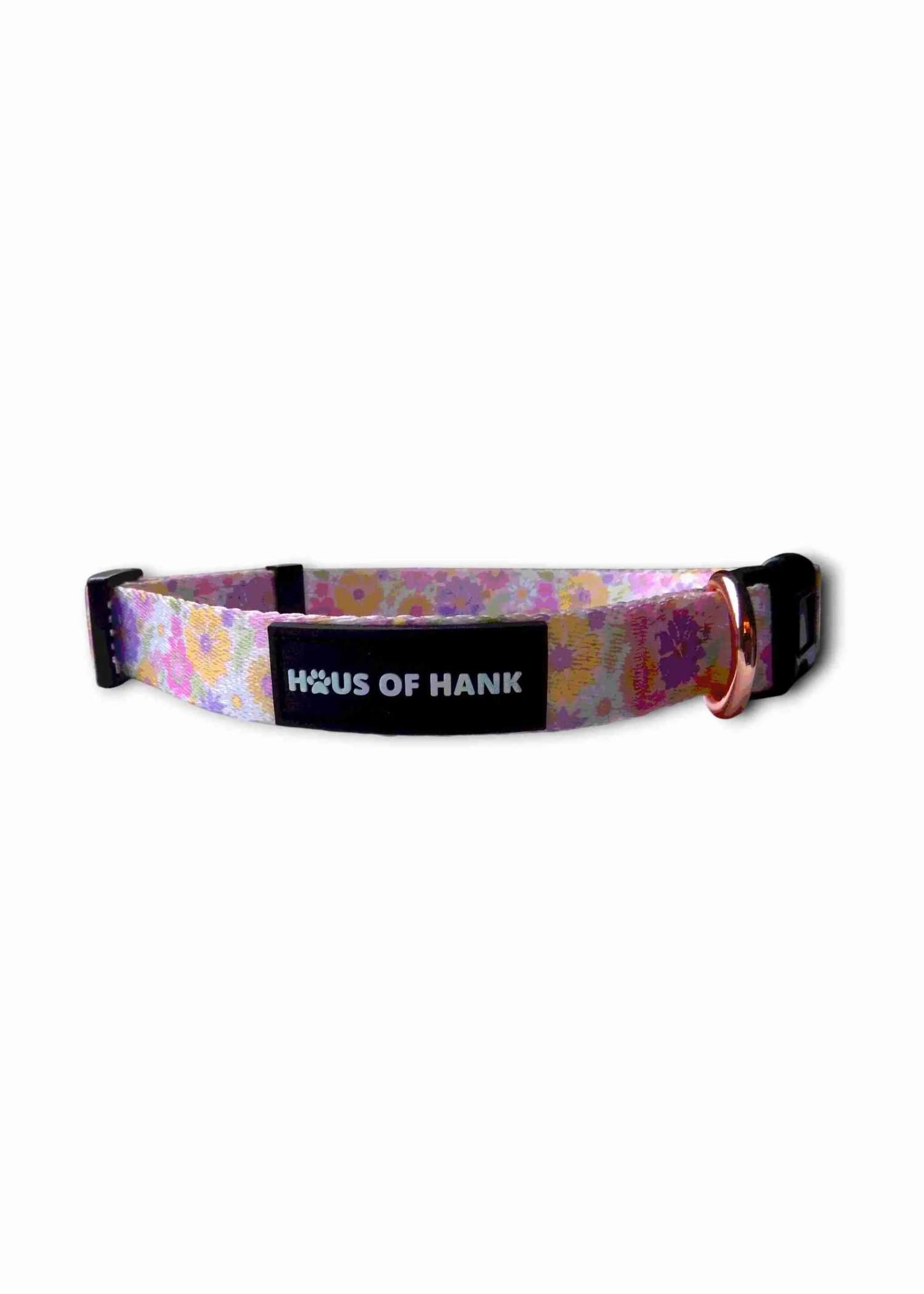 Wildflower Wander Classic Collar — adjustable dog collar from Haus of Hank