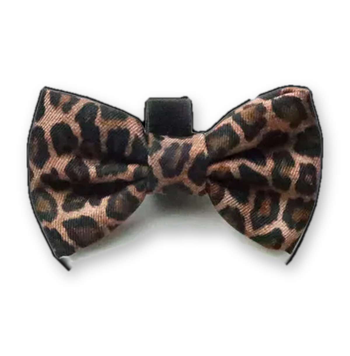 Paws gone WILD Bowtie — leopard print dog bow tie from Haus of Hank