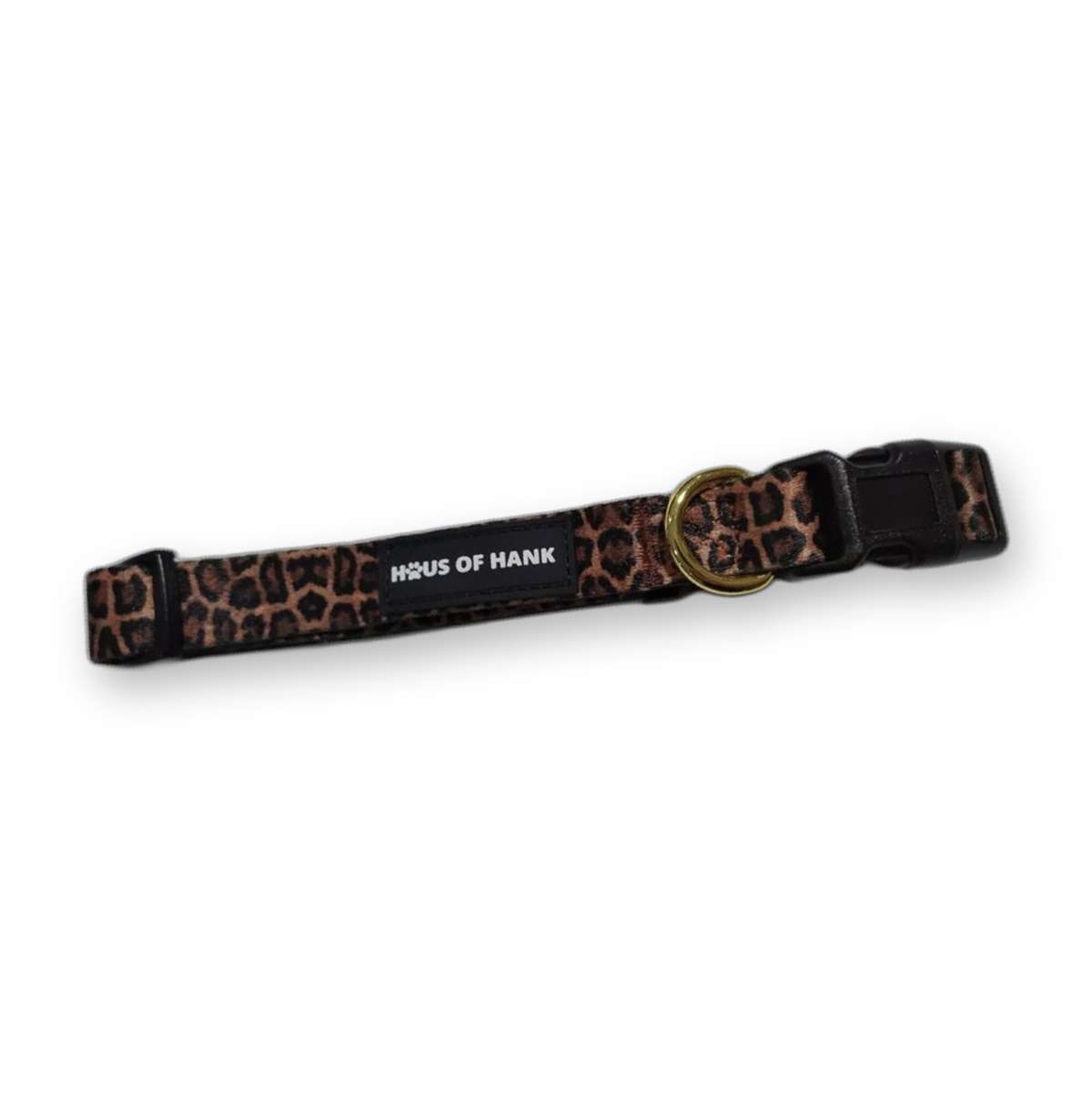 Paws gone WILD Classic Collar — leopard print dog collar from Haus of Hank