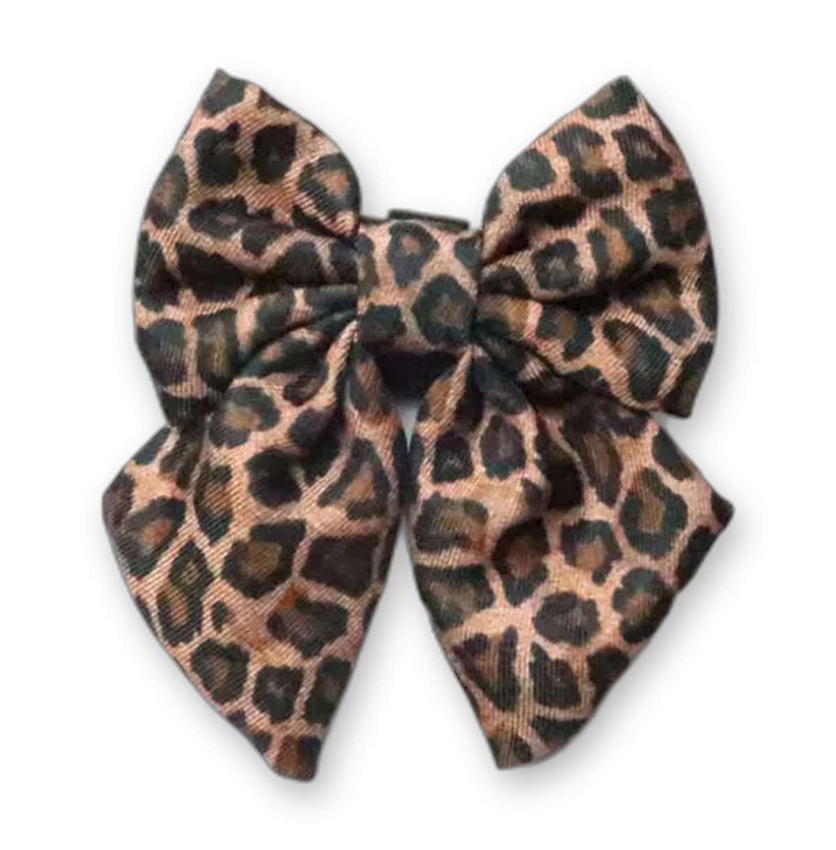 Paws gone WILD Medium Sailor Bow — leopard print dog sailor bow from Haus of Hank