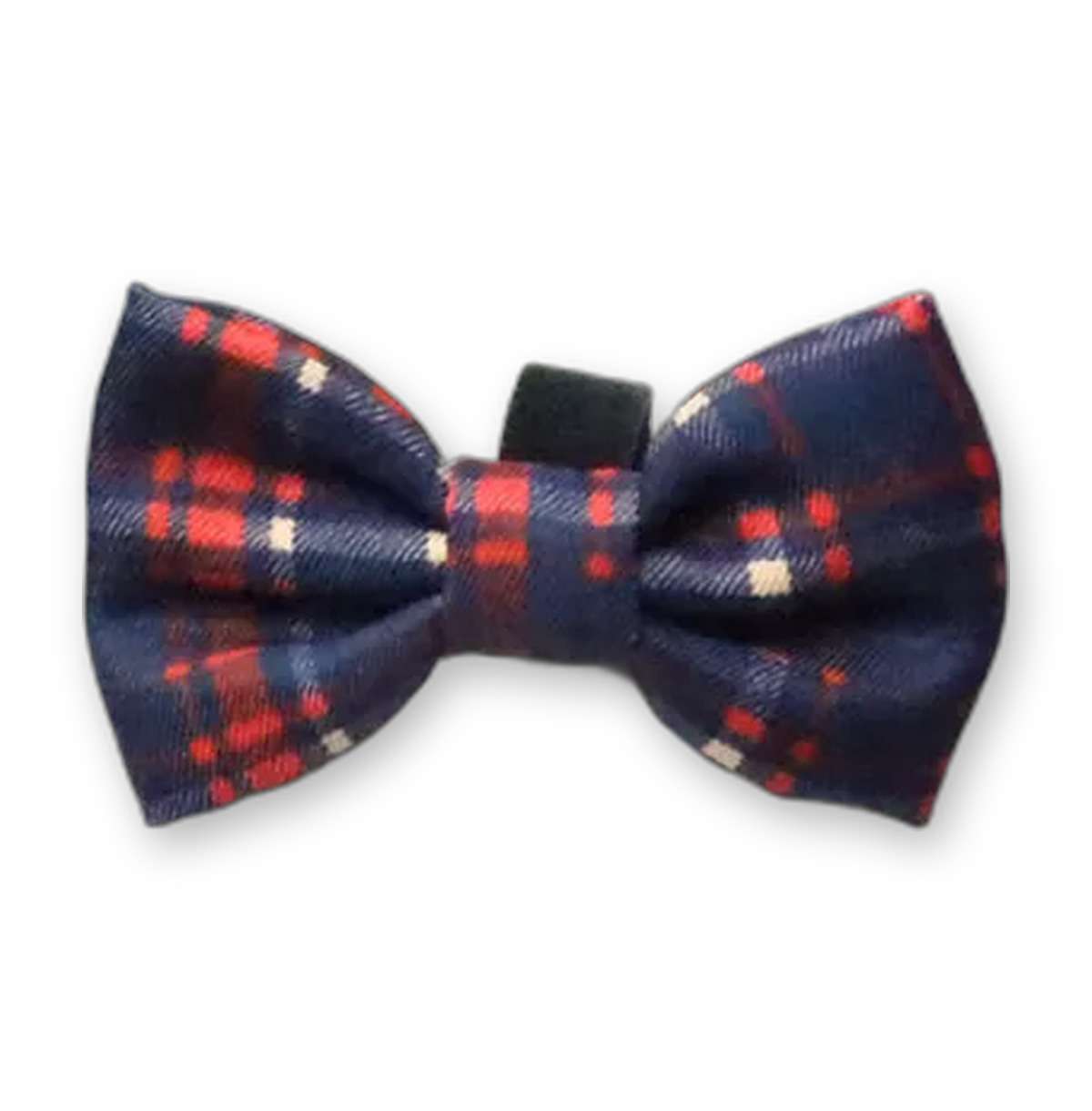 The Heritage Edition Bowtie — navy tartan print dog bow tie from Haus of Hank