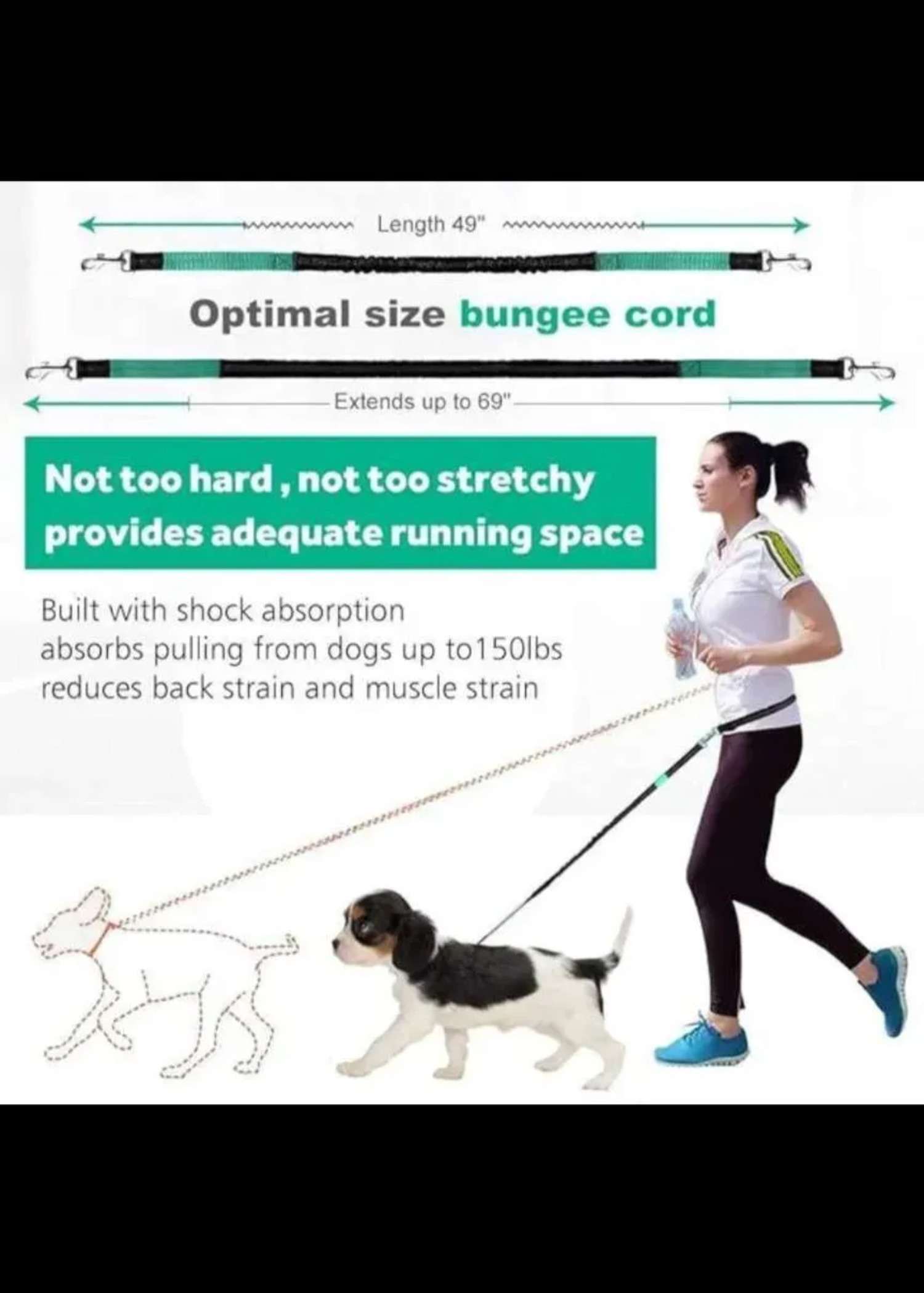 Hands-Free Running Dog Lead