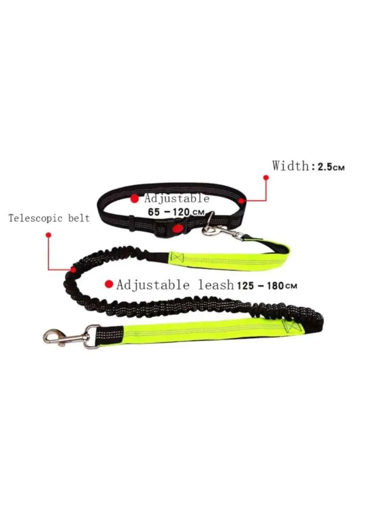 Hands-Free Running Dog Lead