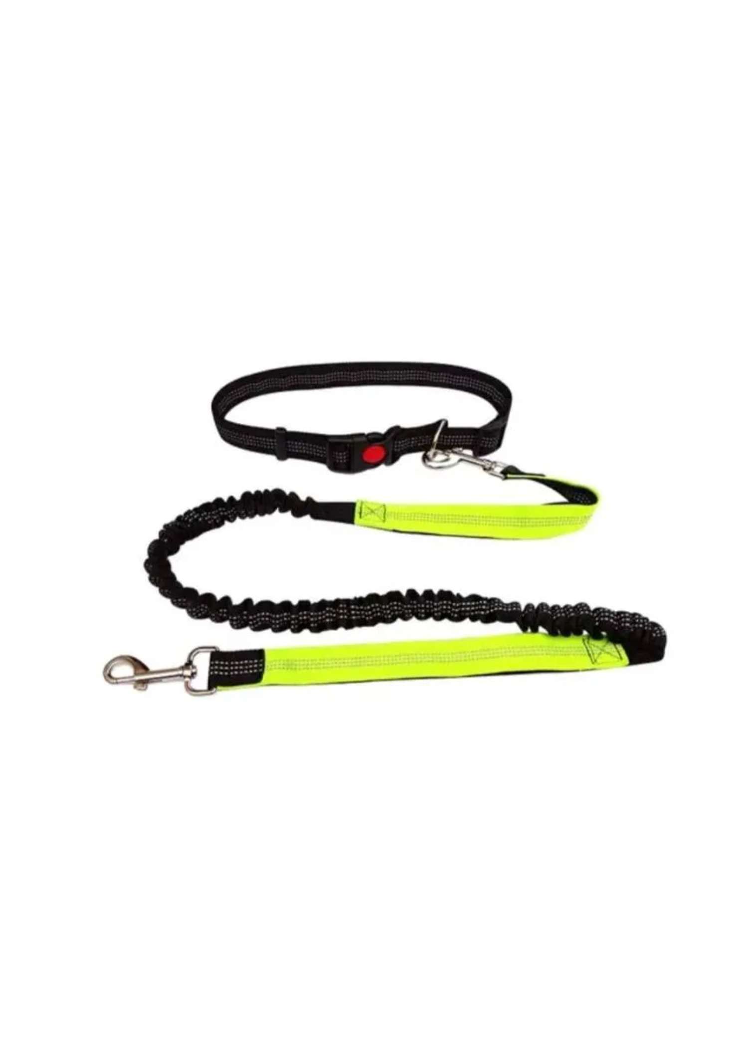 Hands-Free Running Dog Lead