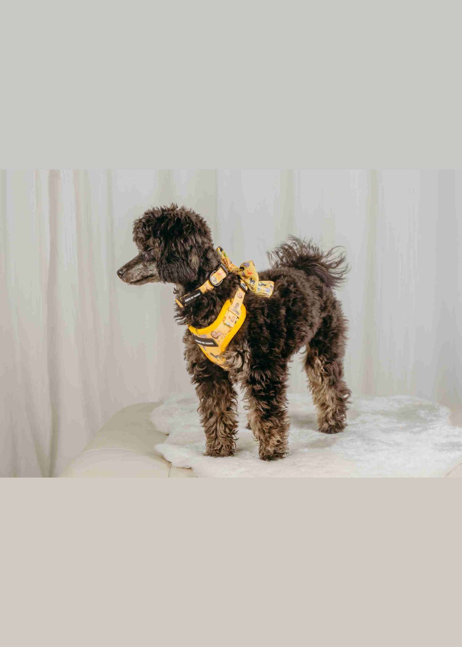 Golden Zookeeper Medium Sailor Bow — Haus of Hank (view 3)