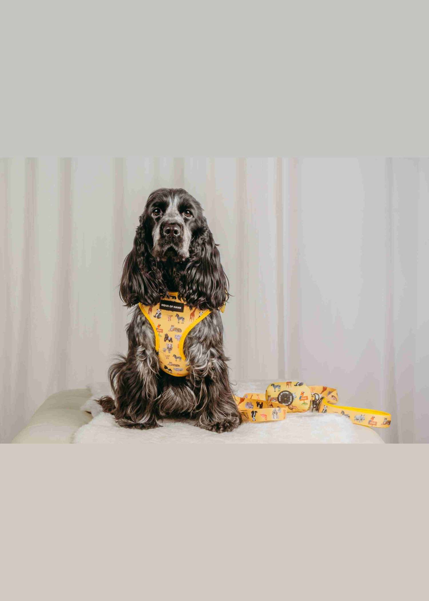 Golden Zookeeper Duo Pouch — treat and accessory pouch from Haus of Hank