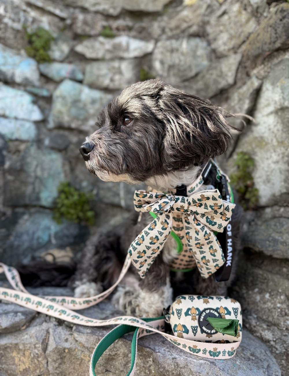 Dog wearing the Emerald Claddagh large sailor bow and harness with the matching lead and duo pouch