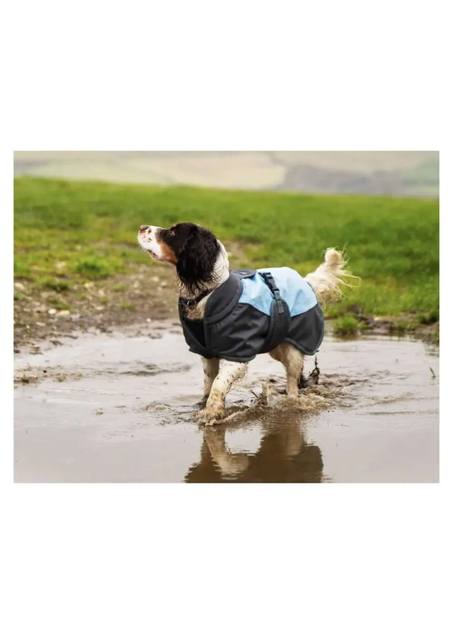 Grey and Blue Waterproof Dog Coat — fleece-lined waterproof dog coat from Haus of Hank